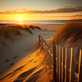 Cape Cod II